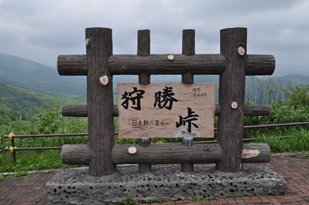 �k�C���P�R