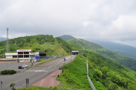 �k�C���P�T