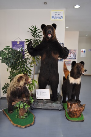 �k�C���P�X