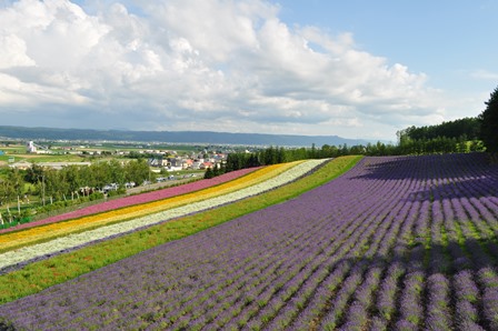 �k�C���R�O