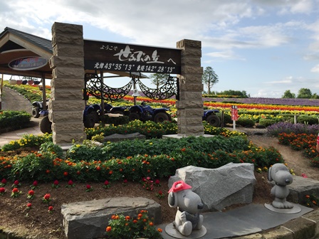 �k�C���R�T