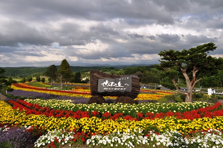 �k�C���R�U