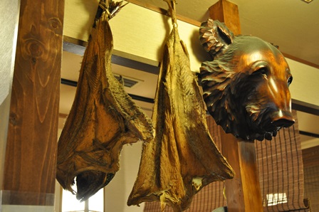 �k�C���T�R