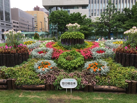 �k�C���P�O