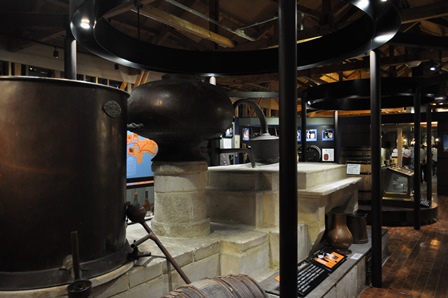 �k�C���Q�W