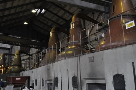 �k�C���R�U