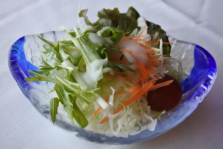 �k�C���P�U