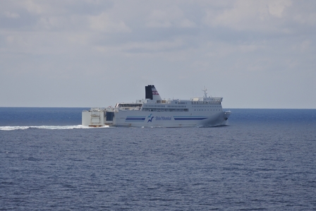 �k�C���R�W