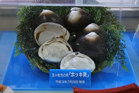 �k�C���P�R