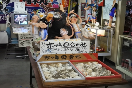 �k�C���P�S