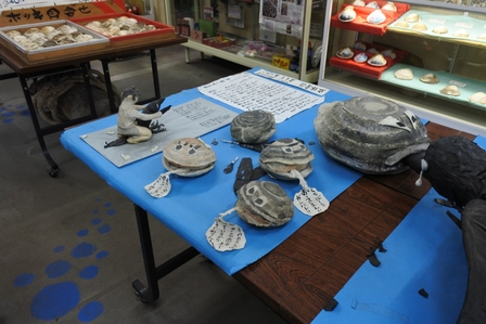 �k�C���P�T