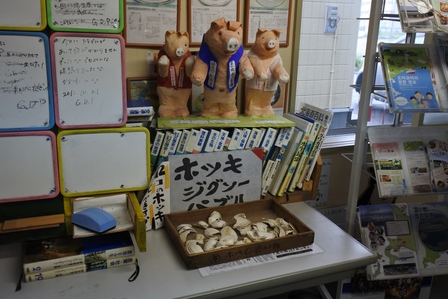 �k�C���P�X