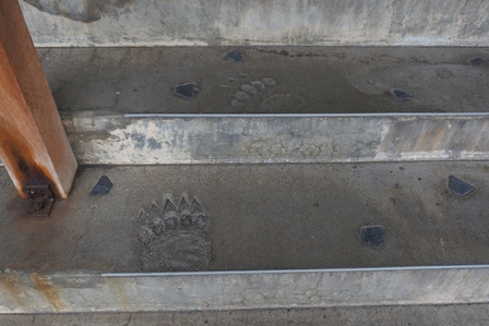 �k�C���R�O