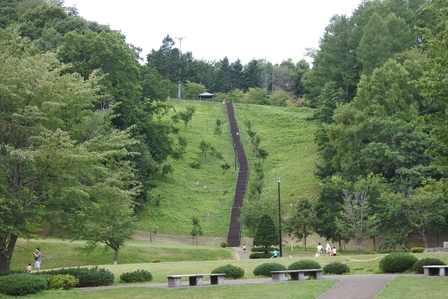 �k�C���R�S