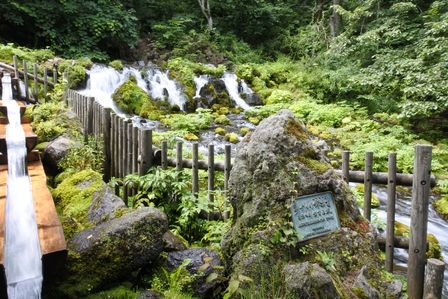 �k�C���S�O