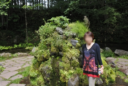 �k�C���S�P