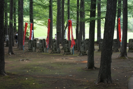 �k�C���S�V