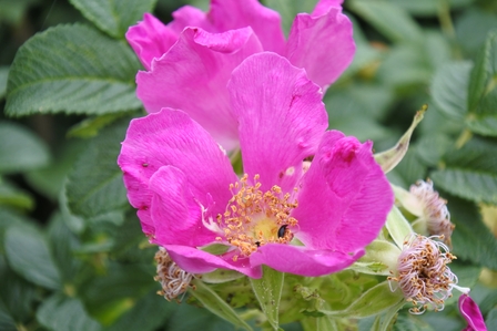 �k�C���T�U