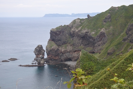 �k�C���V�O