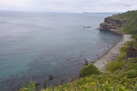 �k�C���V�P