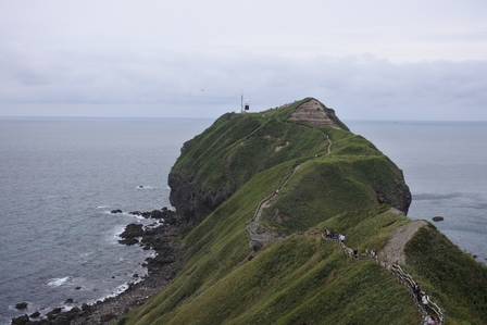 �k�C���V�Q