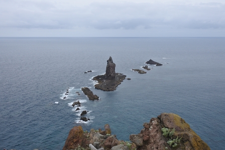 �k�C���V�U