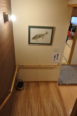 �k�C���W�S