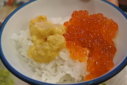 �k�C���X�V