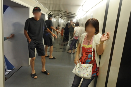 �k�C���P�W