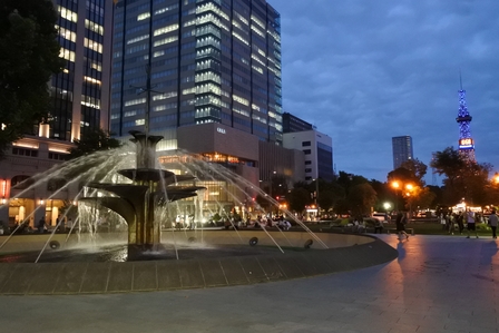 �k�C���S�V