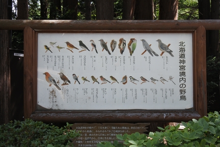 �k�C���P�S