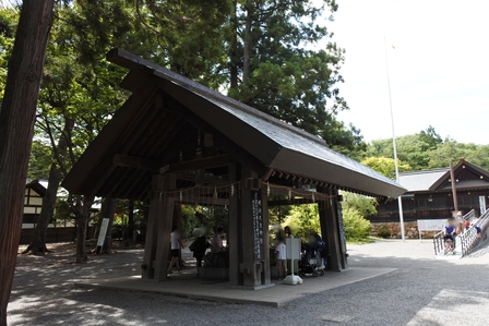 �k�C���P�T