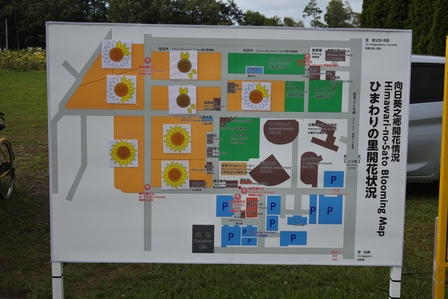 �k�C���Q�X