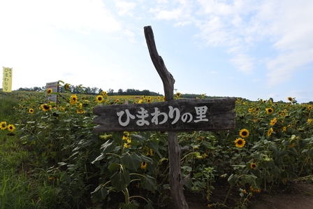 �k�C���R�O