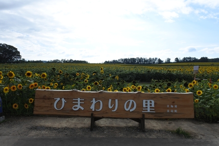 �k�C���R�P