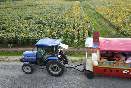 �k�C���R�R