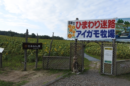 �k�C���R�U