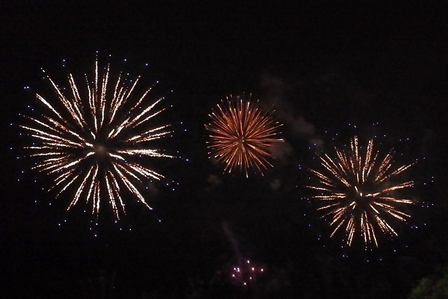 �k�C���U�Q