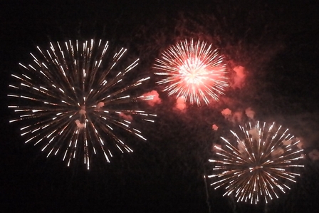 �k�C���U�R