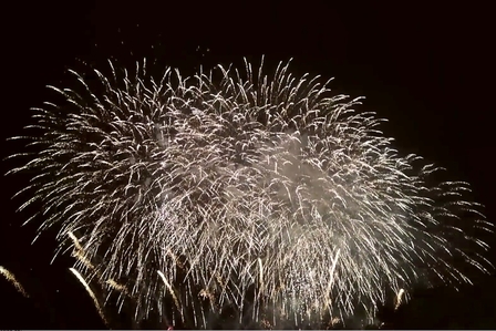 �k�C���U�X