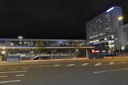 �k�C���V�Q