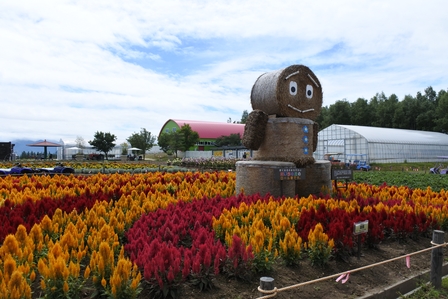 �k�C���P�P