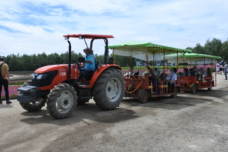 �k�C���P�Q