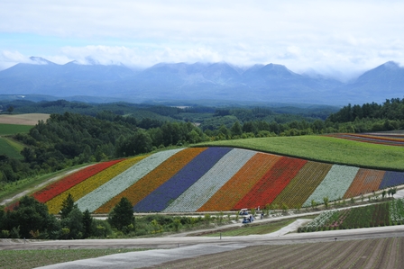 �k�C���P�R