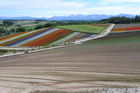 �k�C���P�X