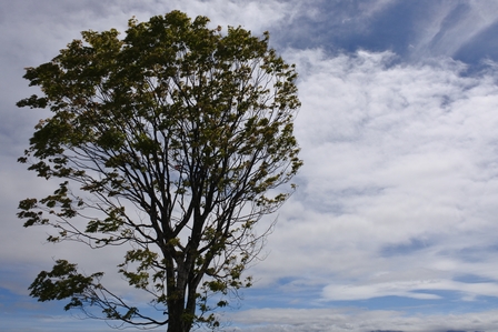 �k�C���Q�U