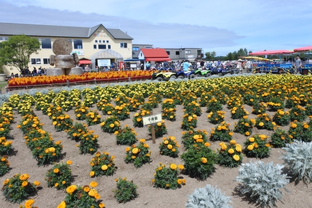 �k�C���Q�W