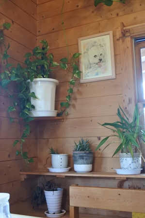 �k�C���R�R