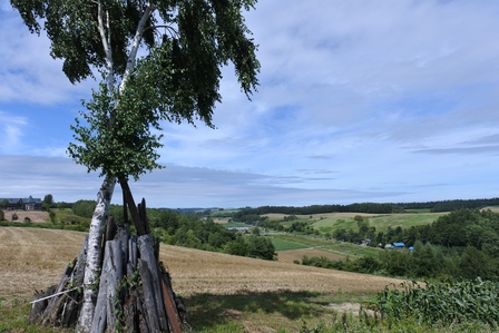 �k�C���R�V