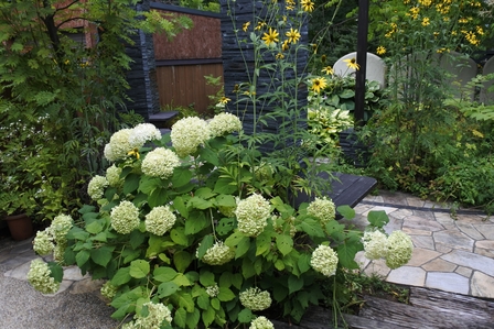 �k�C���S�S